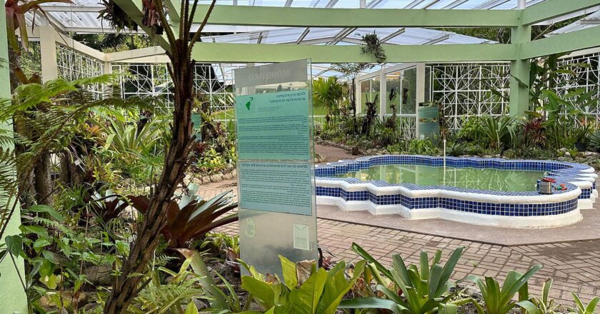 Jardim Botânico do Rio reabre bromeliário, após nove meses em obras