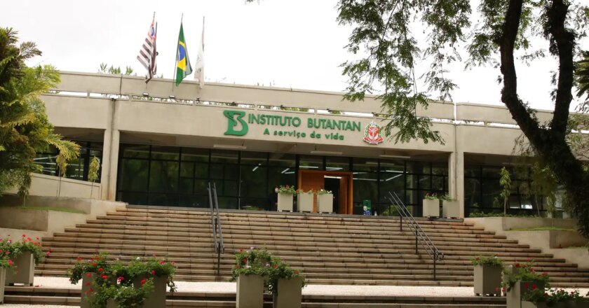 Vacina contra a dengue do Butantan atinge eficácia de 79,6%