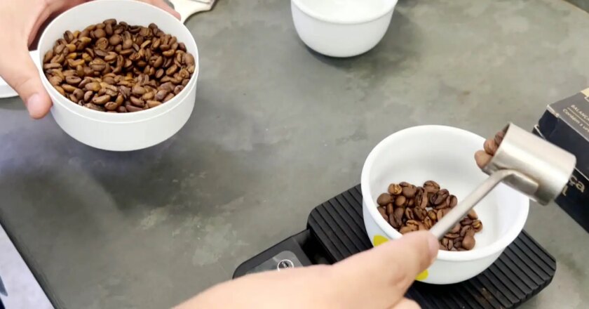 Cafés especiais de Minas Gerais são destaque do Caminhos da Reportagem