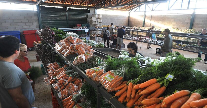 Preços da cenoura e do mamão caem nos principais mercados atacadistas