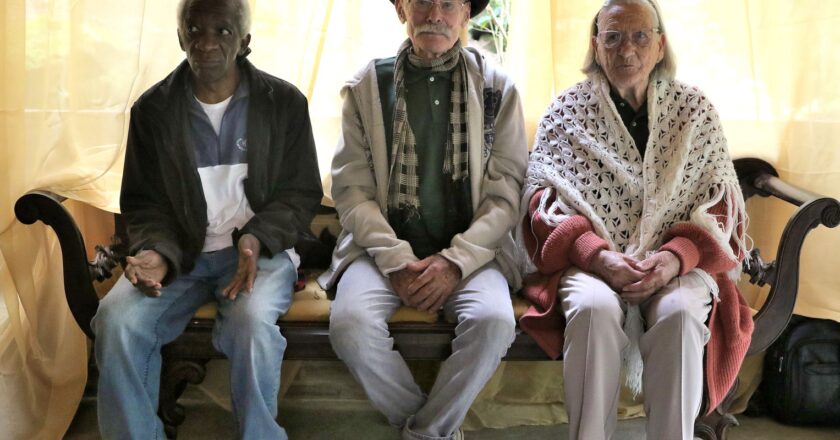 Censo permitirá planejar políticas públicas mais eficientes, diz Tebet