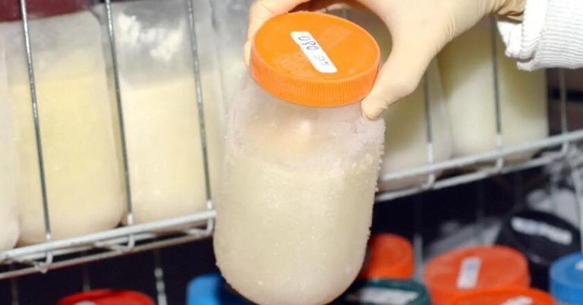 Concurso busca slogan para campanha de doação de leite materno