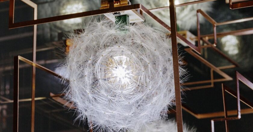 Exposição no Rio explora conexões entre tecnologia e natureza