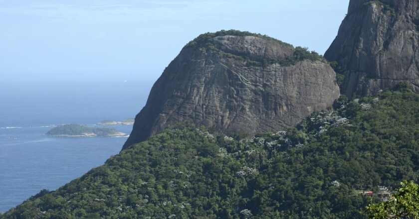 Lula veta parte de la ley que flexibiliza la tala de la Mata Atlántica