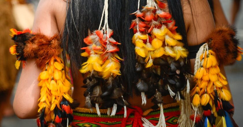 Brasil deve ter orgulho de seus povos indígenas, diz secretária