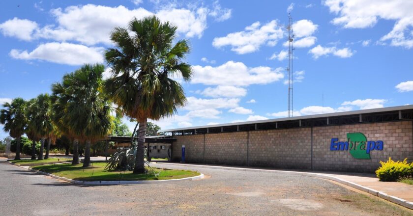 Justiça determina que MST desocupe fazenda da Embrapa em Pernambuco