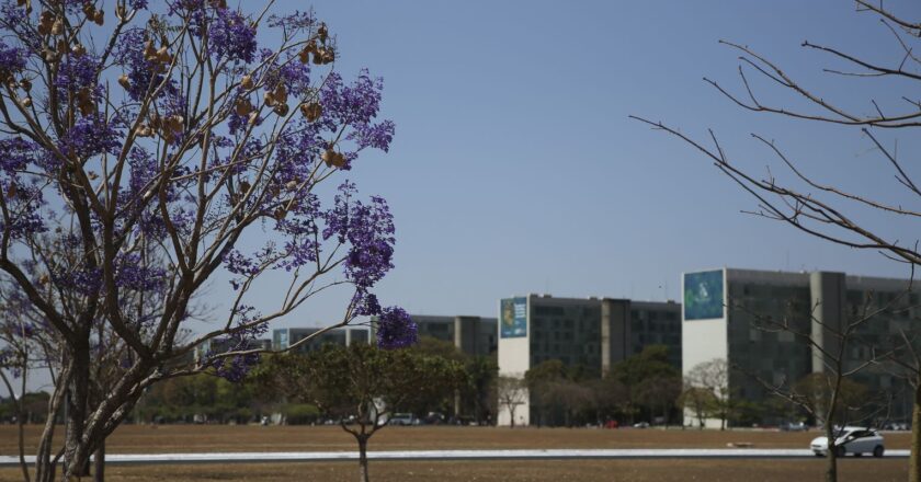 Participação feminina em cargos no governo federal mostra estagnação