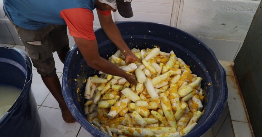 Agricultura familiar pode melhorar merenda escolar indígena