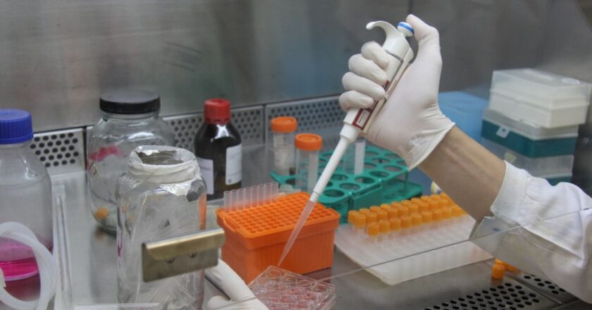 Pesquisadoras tratam dos desafios da carreira para mulheres no país