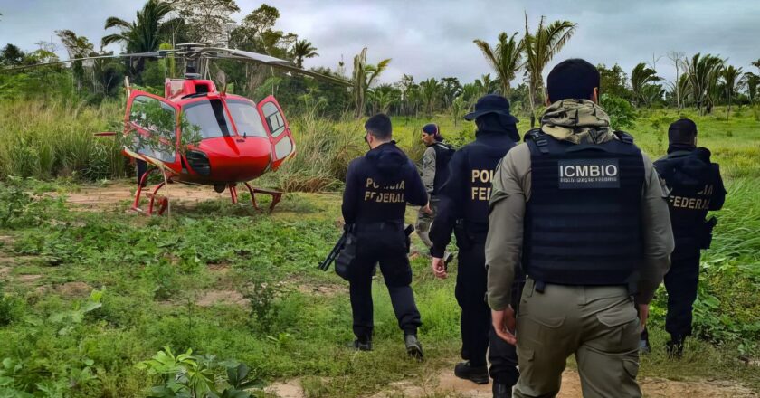 Pesquisa traça conexões entre narcotráfico e crimes ambientais no país