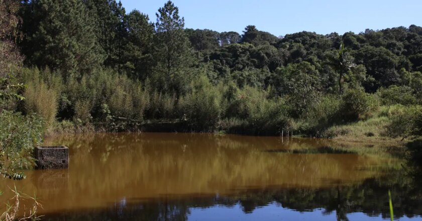 Brasil ganha 1,7 milhão de hectares de superfície de água em 2022