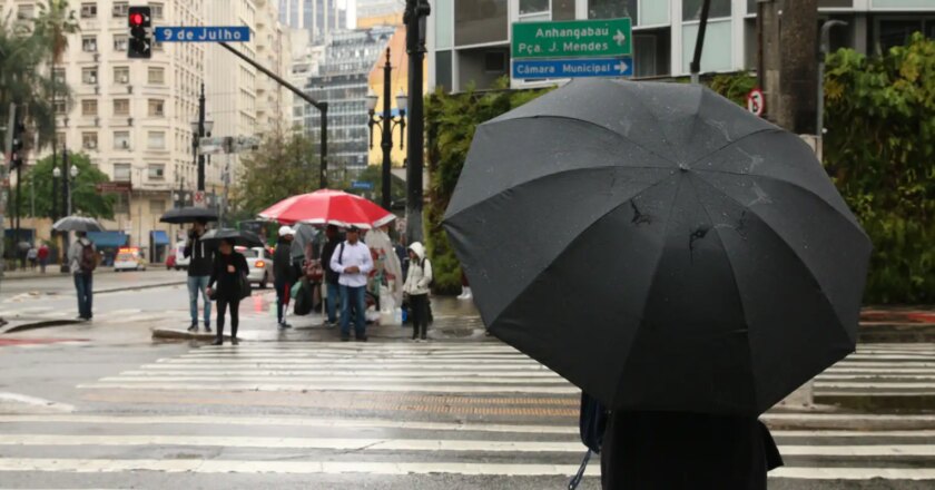 Chuvas causam queda de árvores e pontos de alagamento em SP