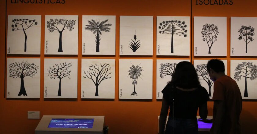 Exposición sobre lenguas indígenas en São Paulo gana versión virtual