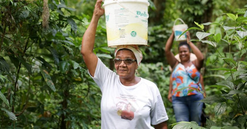 Comunidade quilombola que pede socorro a Lula sofre sem direitos