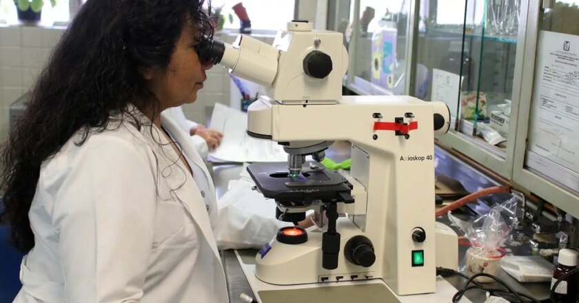 Prêmio chama atenção para desafios enfrentados por mulheres cientistas