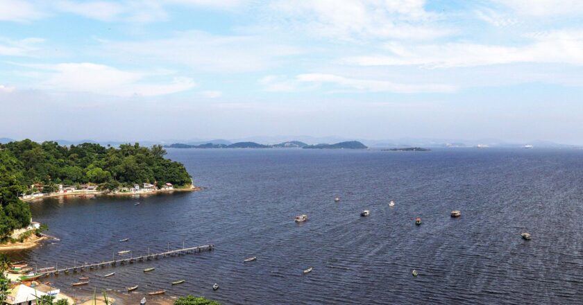 Da poluição ao berçário da vida marinha: passeio atrai turistas no Rio