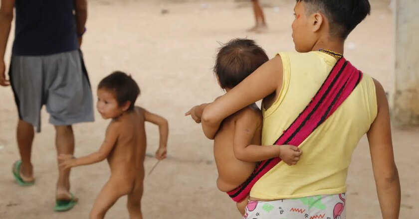 Defesa Civil de Roraima alertou Damares sobre a situação yanomami