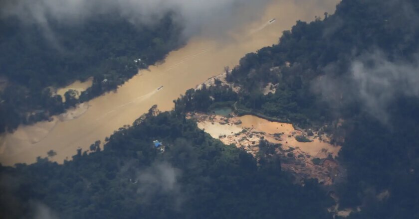 FAB reabre espaço aéreo em RR para saída espontânea de garimpeiros