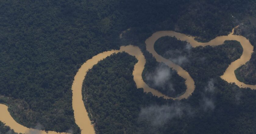 Cimi pede recomposição de comissão que acompanha crise yanomami