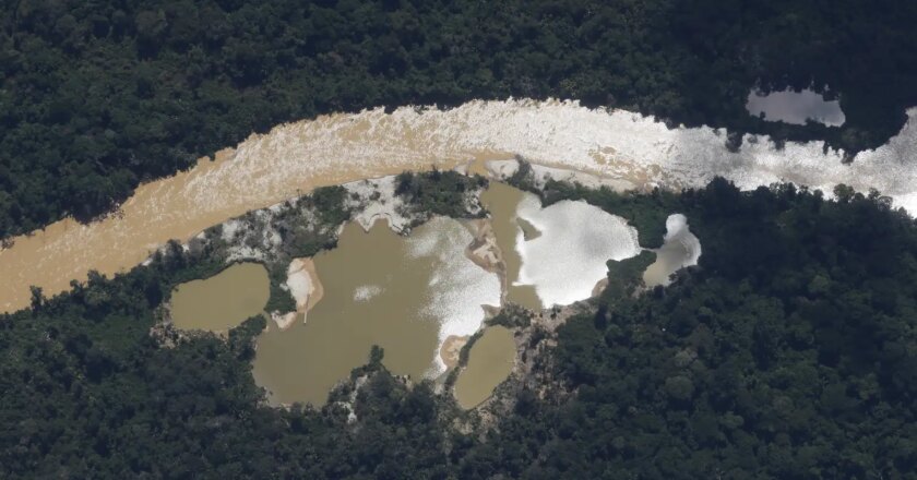 PF investiga morte de três yanomami por garimpeiros em Roraima