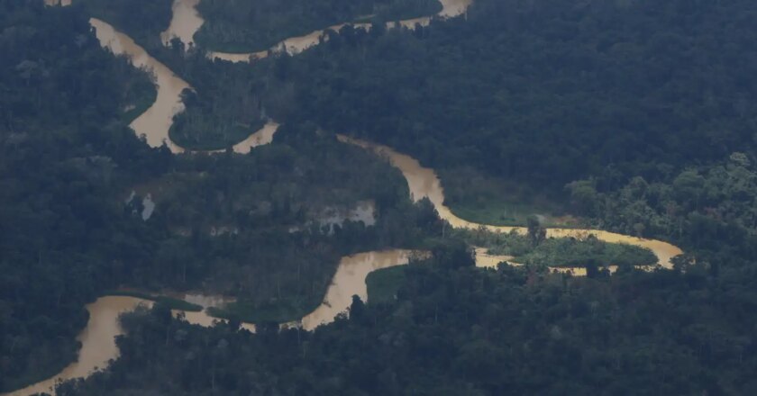 Governo do Pará assina decreto para combater garimpo e desmatamento