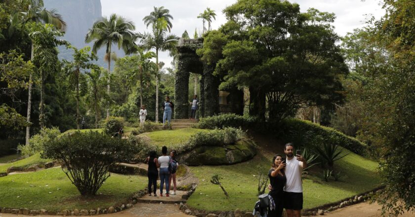 Painel Conserva Flora facilita acesso à flora ameaçada de extinção
