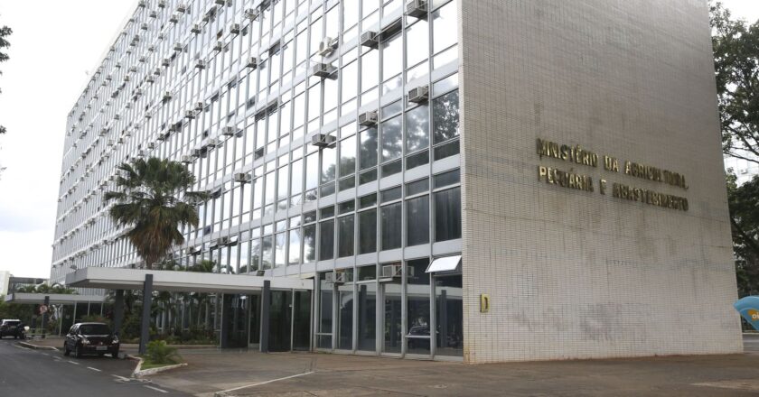 Brasil tem primeiro caso de influenza aviária em aves domésticas