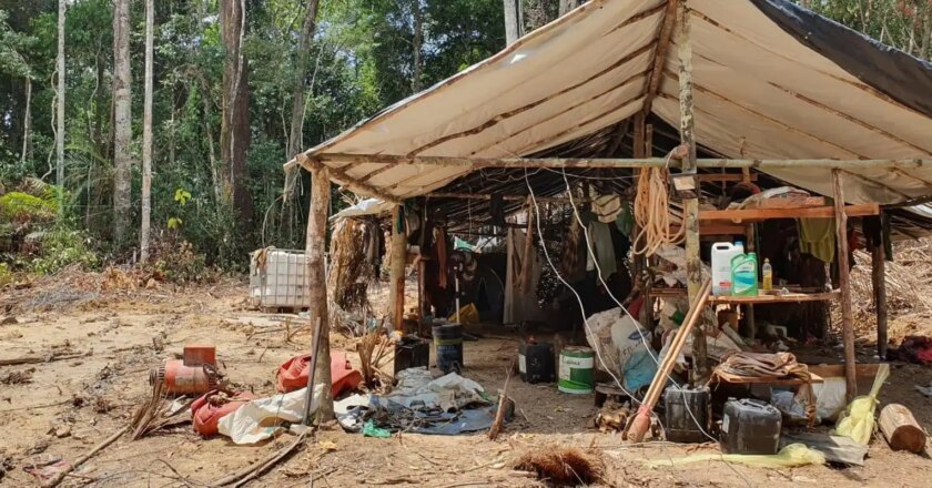 Terra Yanomami: garimpo ilegal causou alta de 309% no desmatamento