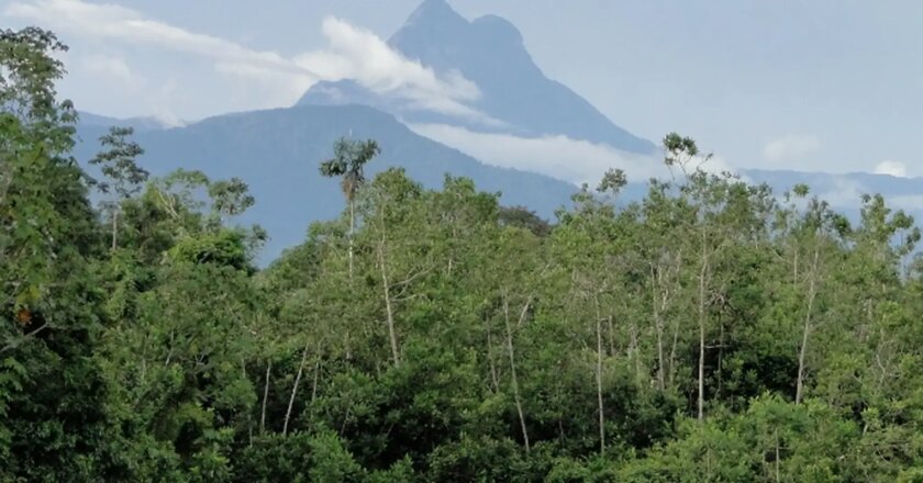 Entidades yanomami denunciam entrada de garimpeiros no Pico da Neblina
