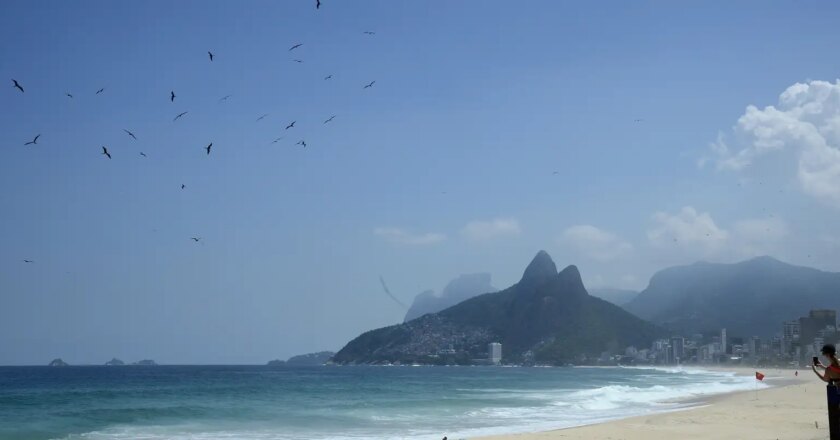 Albatross and petrel sample bank expanded by 57.5%