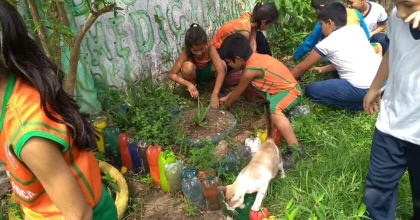 Bullying: combate deve ser feito de forma coletiva e intersetorial
