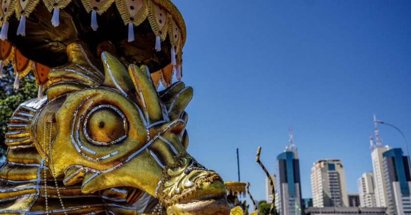 Escolas de samba do DF voltam a desfilar após dez anos