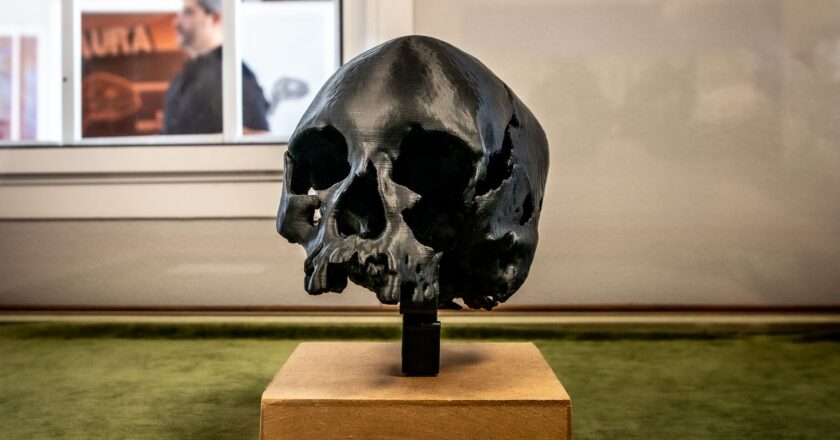 Museu Nacional/UFRJ prevê entrega de biblioteca científica em março