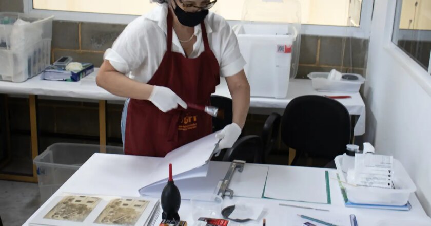 Jardim Botânico do Rio restaura acervo de 15 mil fotografias