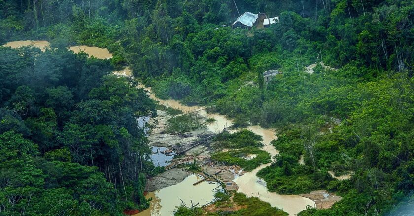 Greenpeace finds 176 excavators on indigenous lands