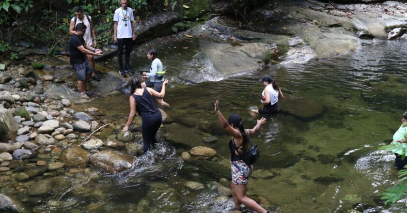 Pesquisas contribuem para aumento de trilhas na Mata Atlântica
