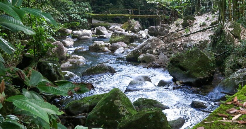 Região preservada estimula turismo consciente e pequenos produtores