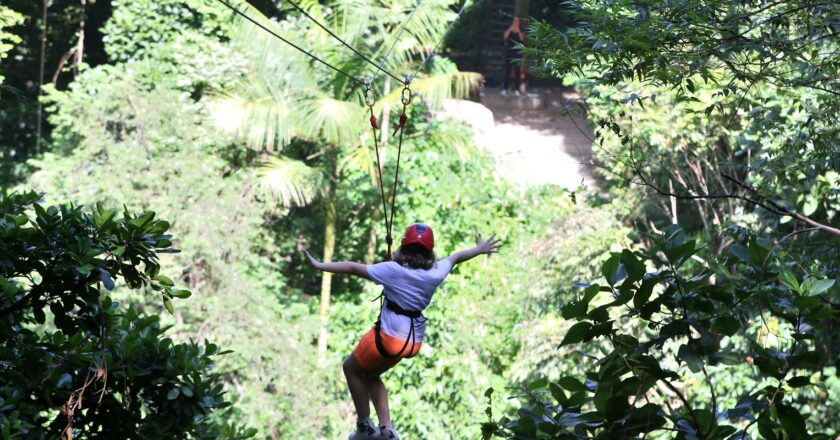 Parque da Catacumba, no Rio, é concedido à iniciativa privada