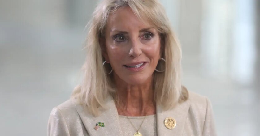 Contribución de EE.UU. al Fondo Amazonia se definirá en pocas semanas