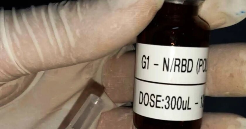 Vacina brasileira contra covid-19 tem bons resultados em testes