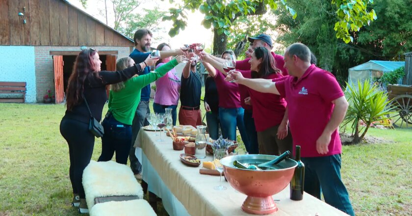 Caminhos da Reportagem focaliza Campanha Gaúcha, o vinho dos pampas