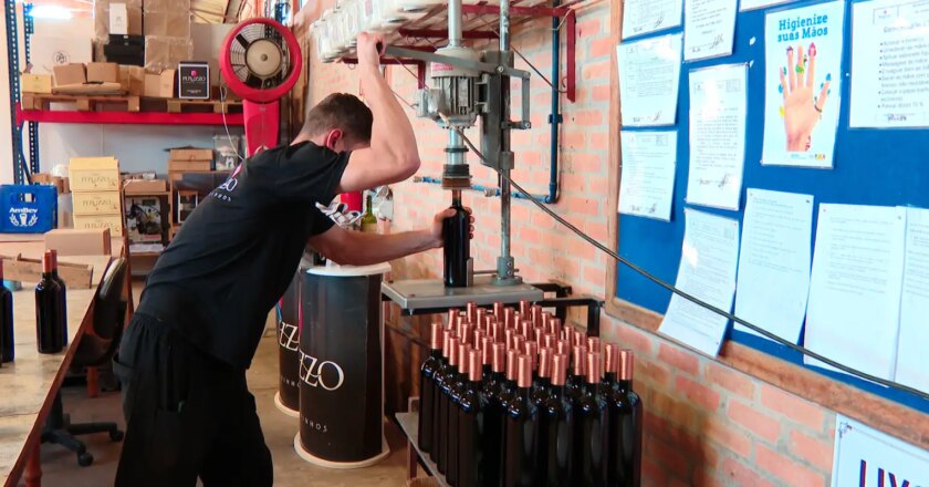 Pampas region in South Brazil acclaimed for top-quality winemaking