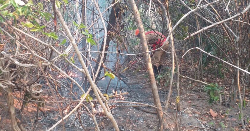 Mais de 16 milhões de hectares foram queimados no Brasil em 2022