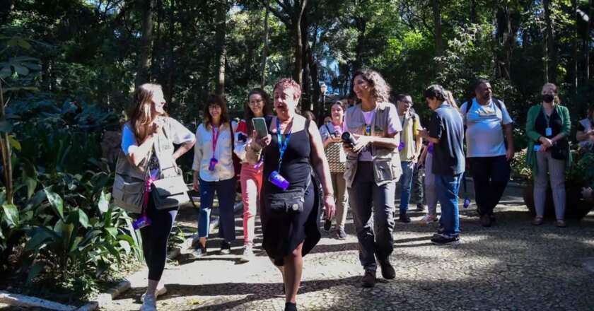 “Caça às árvores” e trilhas marcam Dia da Mata Atlântica em São Paulo