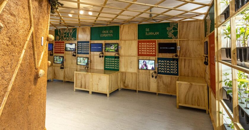 Exposição sensorial sobre a Mata Atlântica permite sentir a floresta