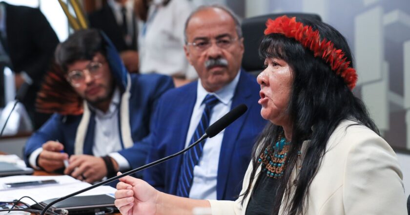 Presidenta da Funai elege medidas urgentes para terra Yanomami
