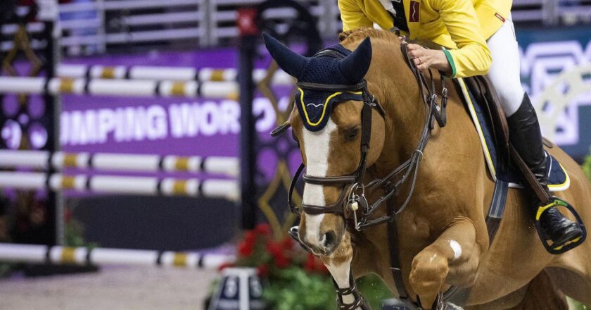 Hipismo: Yuri Mansur chega perto do pódio na Copa do Mundo de saltos